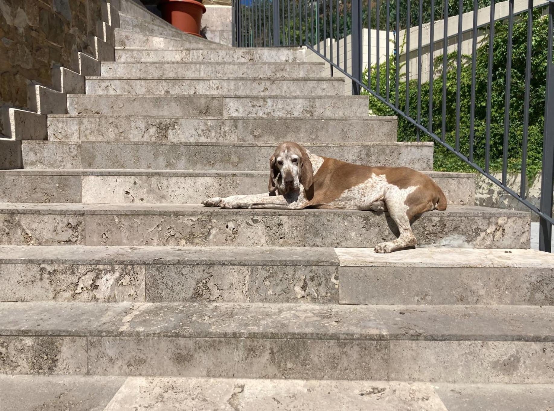 Corte Francigena Montalcino Buitenkant foto